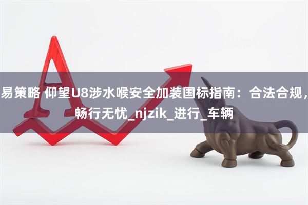 易策略 仰望U8涉水喉安全加装国标指南：合法合规，畅行无忧_njzik_进行_车辆