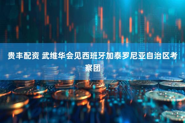 贵丰配资 武维华会见西班牙加泰罗尼亚自治区考察团